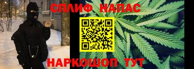 сатива Ставрополь