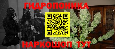 сатива Ставрополь